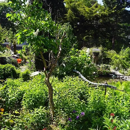 아파트 Ferienwohnungen Auf Ruegen Bei Schramm & Rolinski