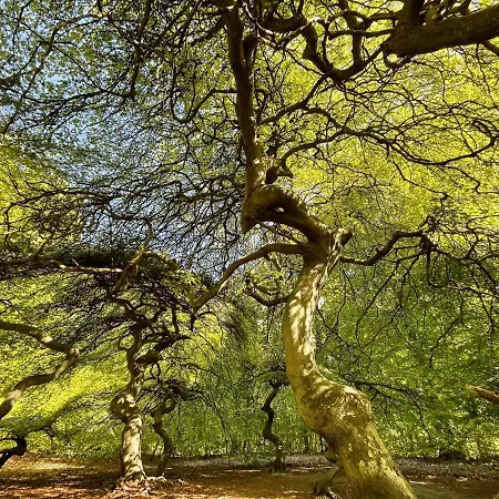 Ferienwohnungen Auf Ruegen Bei Schramm & Rolinski 아파트 *