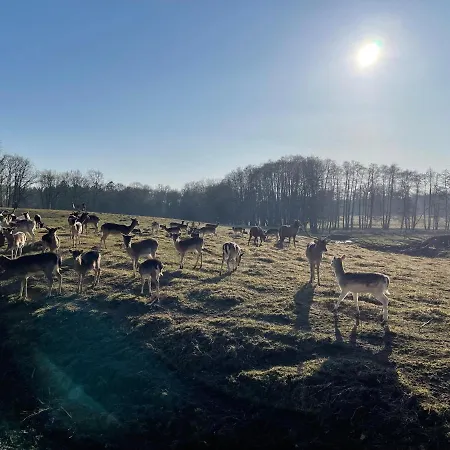 아파트 Ferienwohnungen Auf Ruegen Bei Schramm & Rolinski