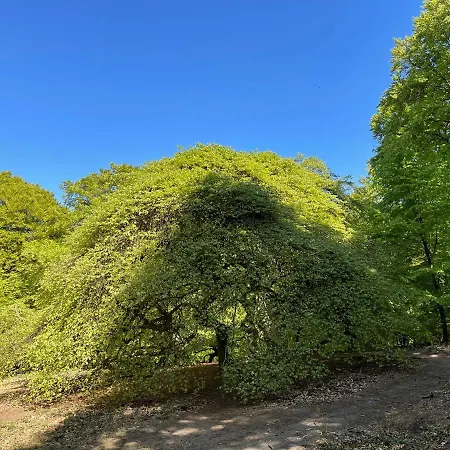 아파트 Ferienwohnungen Auf Ruegen Bei Schramm & Rolinski Lietzow