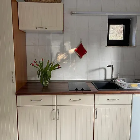 公寓 Rolinski Lietzow