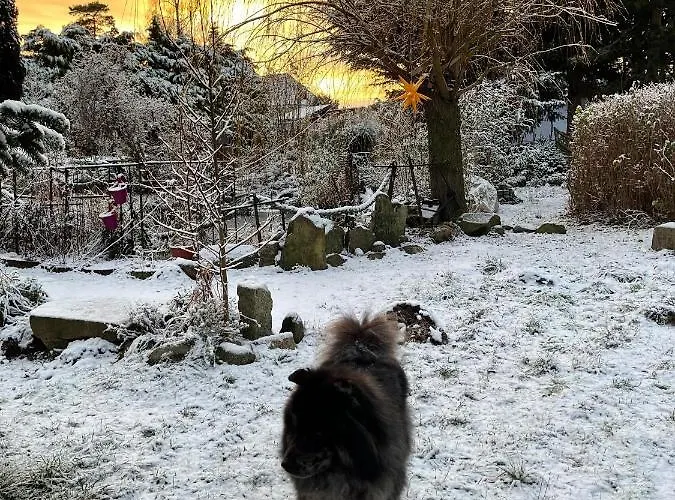 Ferienwohnungen Auf Ruegen Bei Schramm & Rolinski Lietzow