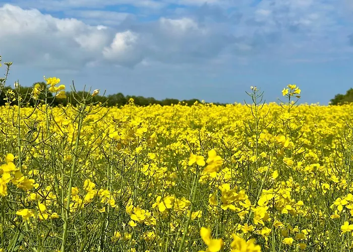 Ferienwohnungen Auf Ruegen Bei Schramm & Rolinski Lejlighed *