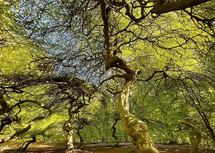 Ferienwohnungen Auf Ruegen Bei Schramm & Rolinski Lejlighed *