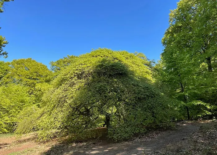 Lejlighed Ferienwohnungen Auf Ruegen Bei Schramm & Rolinski Lietzow