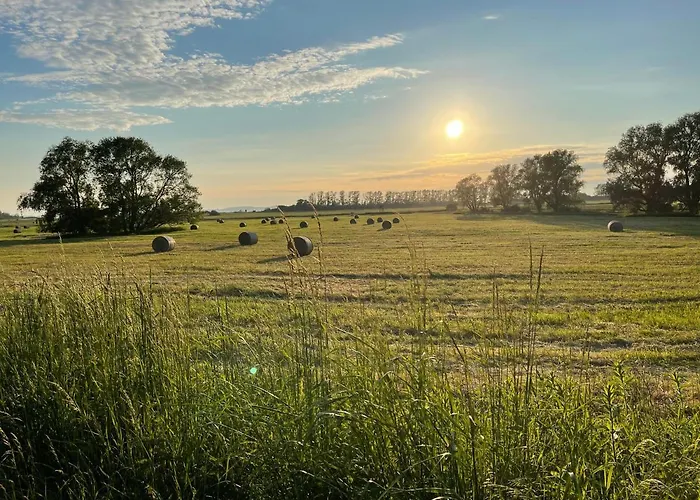 Lejlighed Ferienwohnungen Auf Ruegen Bei Schramm & Rolinski Lietzow