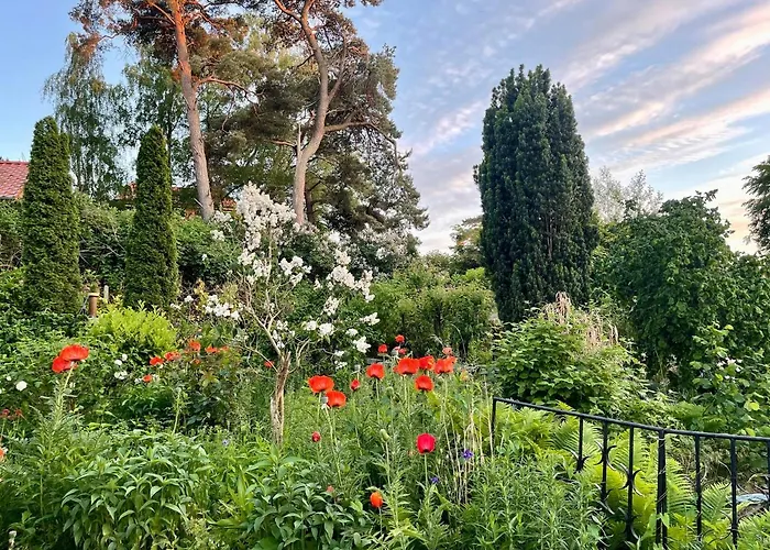 Ferienwohnungen Auf Ruegen Bei Schramm & Rolinski Lietzow