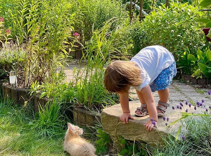 Lejlighed Ferienwohnungen Auf Ruegen Bei Schramm & Rolinski *