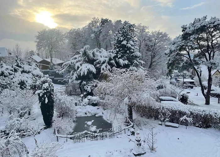 Ferienwohnungen Auf Ruegen Bei Schramm & Rolinski Lejlighed Lietzow