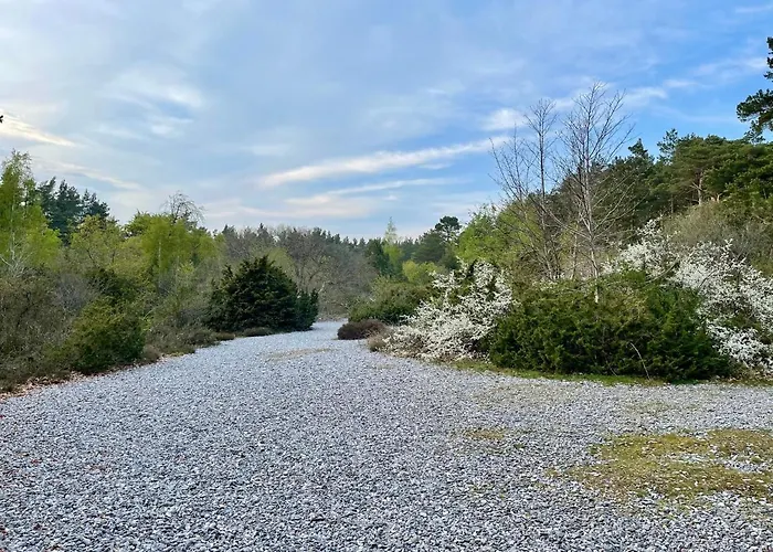 Ferienwohnungen Auf Ruegen Bei Schramm & Rolinski Lietzow